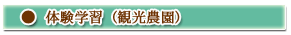 �̌��w�K�i�ό��_���j
