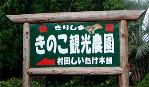 きりしまきのこ観光農園看板