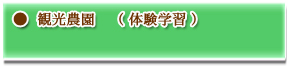 観光農園(体験学習)