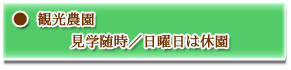 観光農園(見学随時/日曜日は休園)
